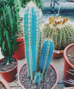 Blue Cactus Pot Diamond Painting