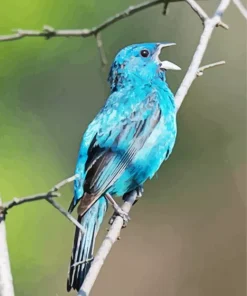 Blue Canary Bird Diamond Painting