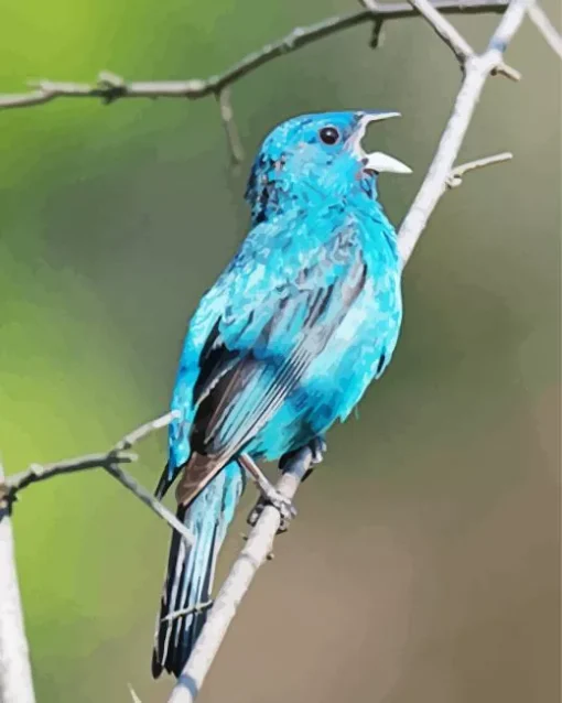 Blue Canary Bird Diamond Painting