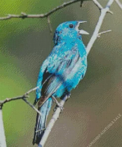 Blue Canary Bird Diamond Painting