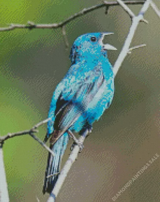 Blue Canary Bird Diamond Painting