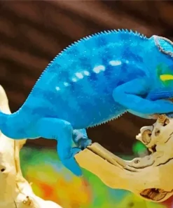 Blue Chameleon Diamond Painting