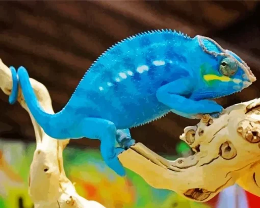 Blue Chameleon Diamond Painting