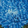 Blue Chrysanthemum Diamond Painting