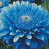 Blue Chrysanthemum Flower Diamond Painting
