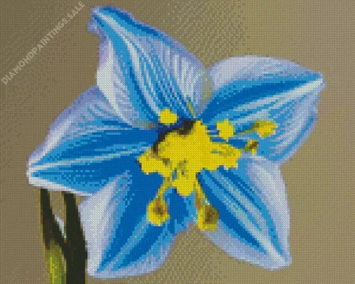 Blue Daffodil Diamond Painting