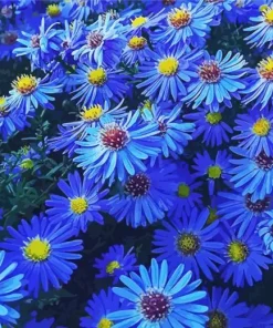 Blue Daisies Flowers Diamond Painting