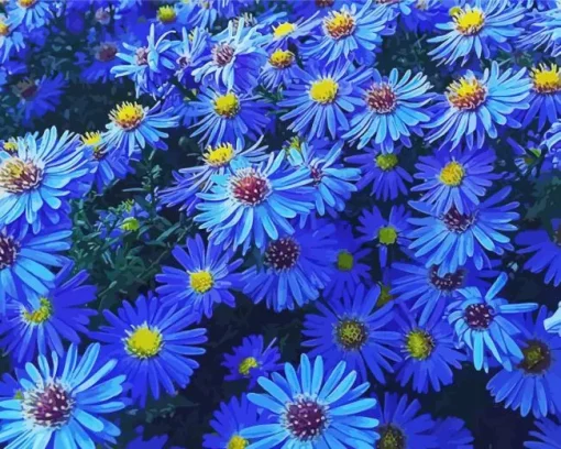 Blue Daisies Flowers Diamond Painting