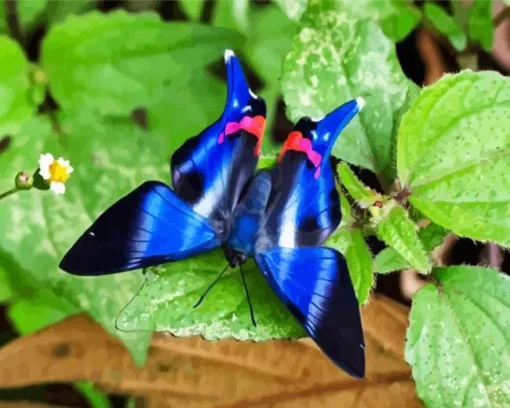 Blue Doctor Butterfly Diamond Painting