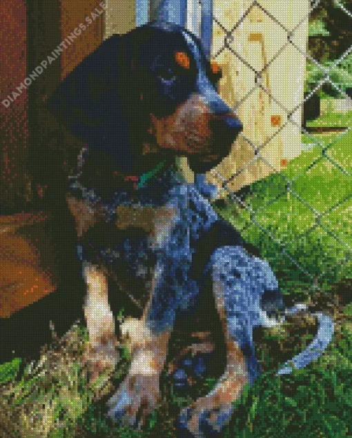 Blue English Coonhound Diamond Painting