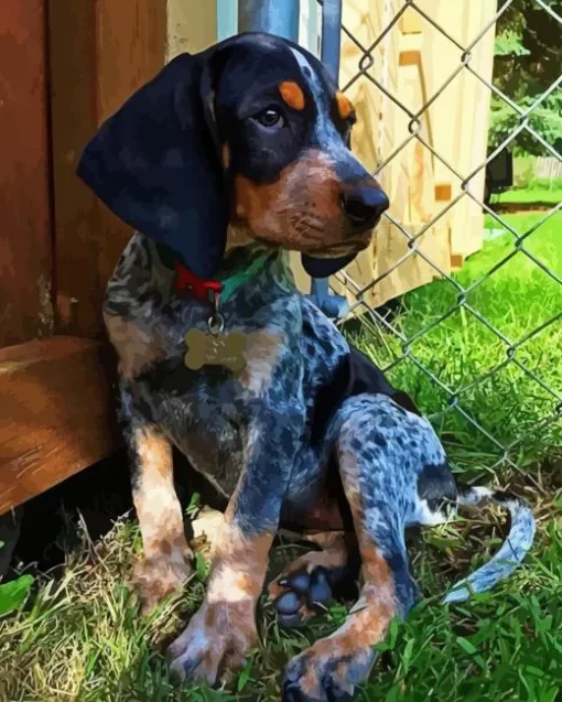 Blue English Coonhound Diamond Painting