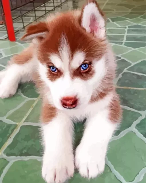 Blue Eyed Brown Husky Puppy Diamond Painting