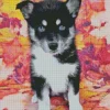 Blue Eyed Pomsky Diamond Painting