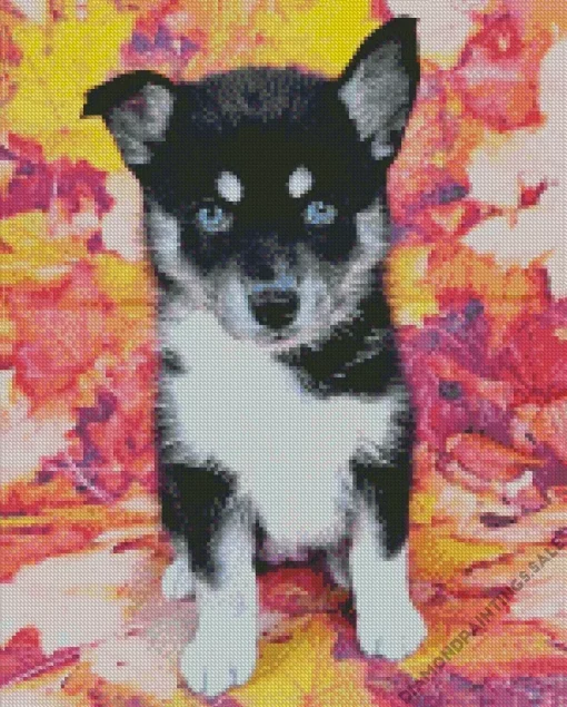 Blue Eyed Pomsky Diamond Painting