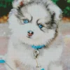 Blue Eyed Pomsky Dog Diamond Painting