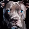 Blue Eyed Staffordshire Bull Terrier Diamond Painting