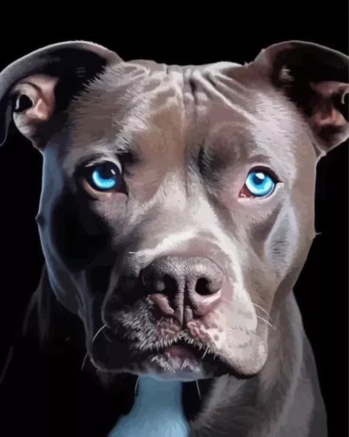 Blue Eyed Staffordshire Bull Terrier Diamond Painting