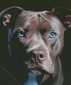 Blue Eyed Staffordshire Bull Terrier Diamond Painting