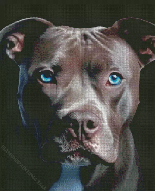 Blue Eyed Staffordshire Bull Terrier Diamond Painting