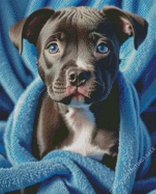 Blue Eyed Staffy Diamond Painting