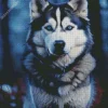 Blue Eyes Husky Diamond Painting