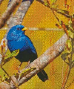Blue Finch Bird Diamond Painting