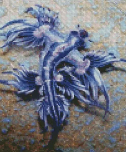 Blue Glaucus Nudibranch Diamond Painting