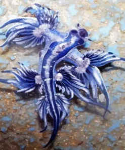Blue Glaucus Nudibranch Diamond Painting