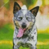 Blue Heeler Dog Animal Diamond Painting