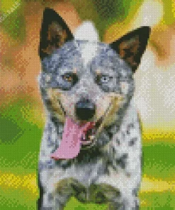 Blue Heeler Dog Animal Diamond Painting
