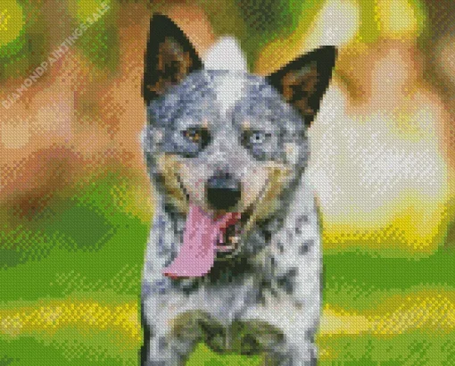Blue Heeler Dog Animal Diamond Painting