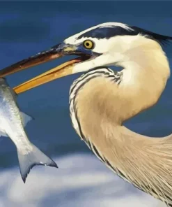 Blue Heron Eating Diamond Painting