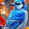 Blue Jay Diamond Painting