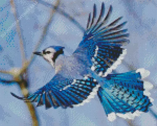 Blue Jay Bird Flying Diamond Painting