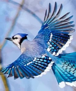 Blue Jay Bird Flying Diamond Painting