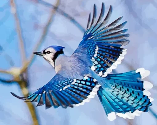 Blue Jay Bird Flying Diamond Painting