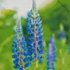 Blue Lupine Flowers Diamond Painting