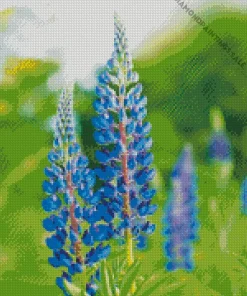 Blue Lupine Flowers Diamond Painting