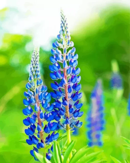 Blue Lupine Flowers Diamond Painting