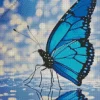 Blue Monarch Butterfly Art Diamond Painting