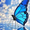 Blue Monarch Butterfly Art Diamond Painting