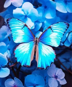 Blue Morpho Butterfly Diamond Painting