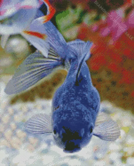 Blue Oranda Fish Diamond Painting