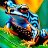 Blue Orange Frog Diamond Painting