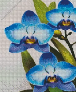 Blue Orchid Diamond Painting