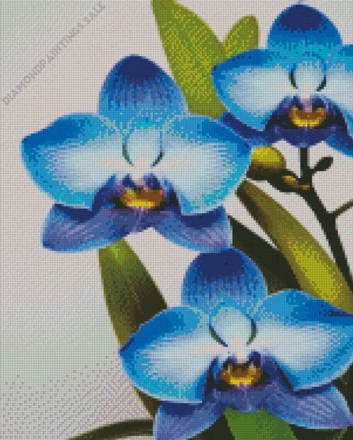 Blue Orchid Diamond Painting