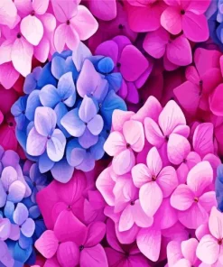 Blue Pink Purple Hydrangea Diamond Painting
