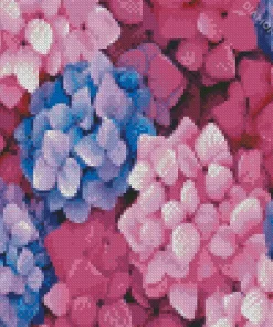 Blue Pink Purple Hydrangea Diamond Painting
