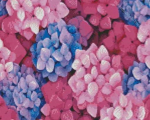 Blue Pink Purple Hydrangea Diamond Painting
