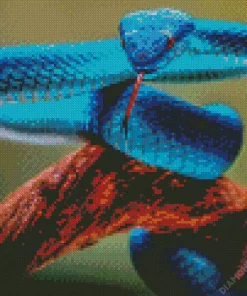 Blue Pit Viper Diamond Painting
